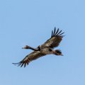 IMG_4354