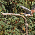 CQ5A5260
