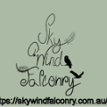 SkyWindfalconryLogo
